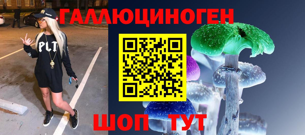 Галлюциногенные грибы мицелий  Псилоцибиновые грибы прущие грибы  Красный Сулин  Вход с VPN 